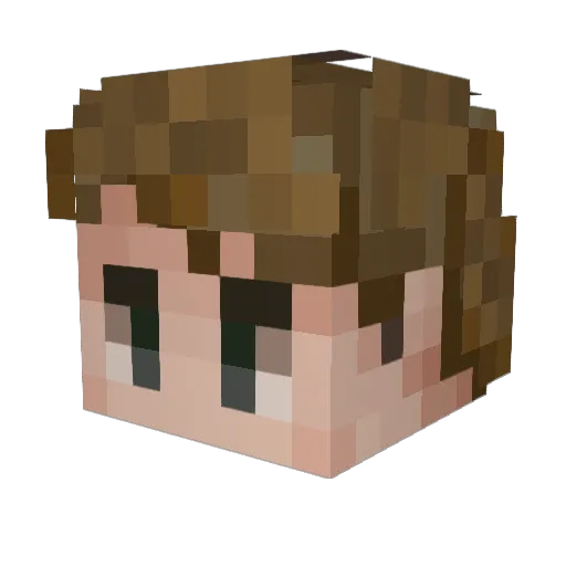 Rayneedshelp1 Minecraft avatar head, 3D render