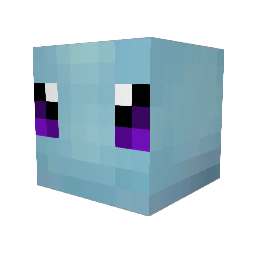 Raynesh Minecraft avatar head, 3D render