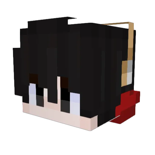 Raynty_ Minecraft avatar head, 3D render