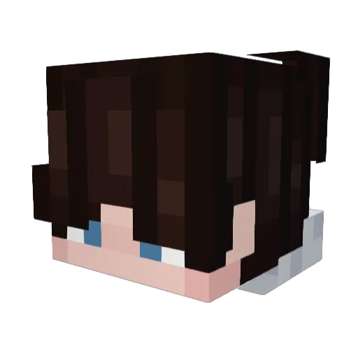 Raynzx Minecraft avatar head, 3D render