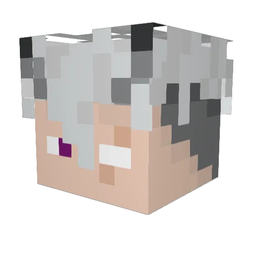 Rayo_D_Demon Minecraft avatar head, 3D render