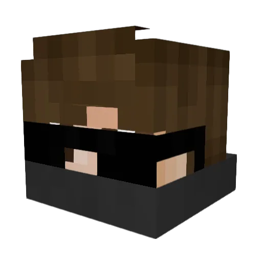 Raypax1337 Minecraft avatar head, 3D render