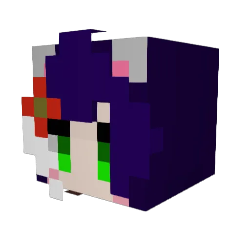 Rayrex998 Minecraft avatar head, 3D render