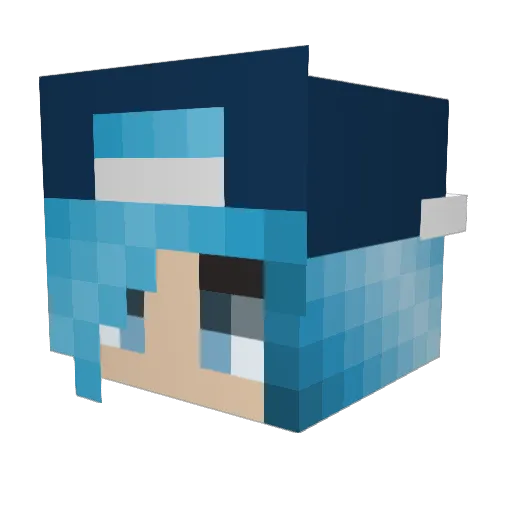 Rayshee29 Minecraft avatar head, 3D render