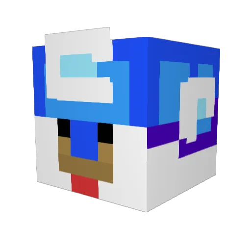 Rayspace56 Minecraft avatar head, 3D render