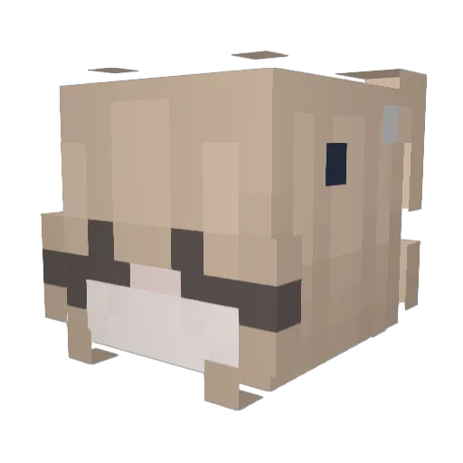 Rayssa_lek Minecraft avatar head, 3D render