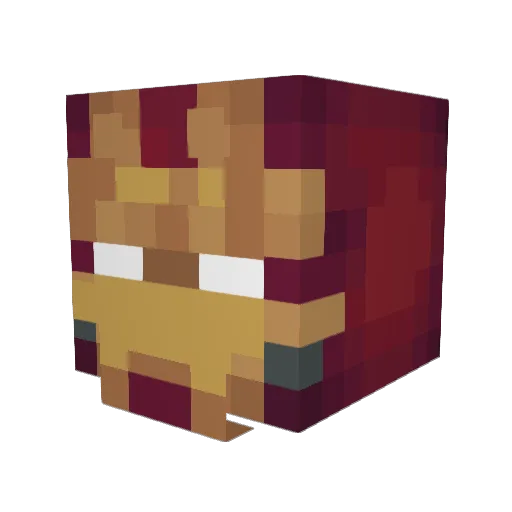 Raytherizzler21 Minecraft avatar head, 3D render