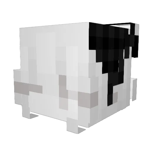 RayverxAsvey Minecraft avatar head, 3D render