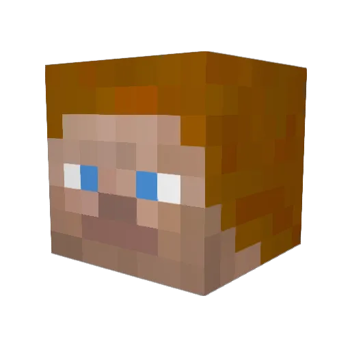 Rayvn11 Minecraft avatar head, 3D render