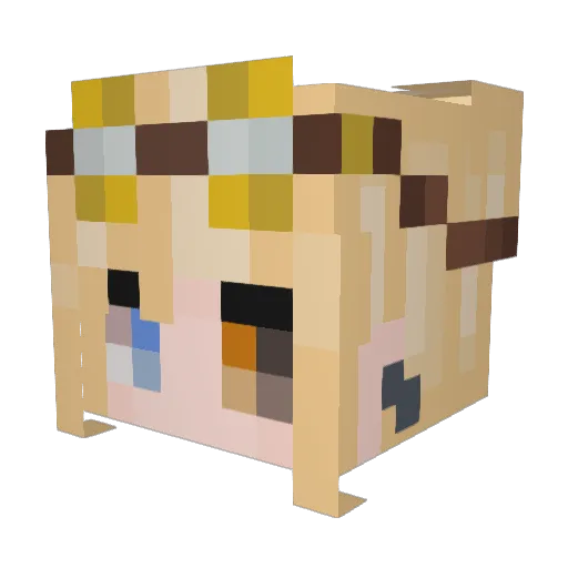 RayvnByrd Minecraft avatar head, 3D render