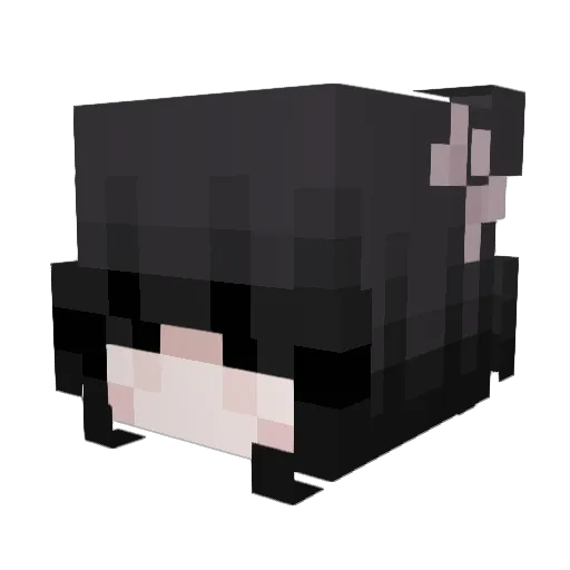 Rayvyn_ Minecraft avatar head, 3D render
