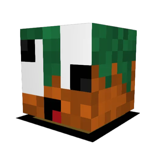 Raywantsfood Minecraft avatar head, 3D render