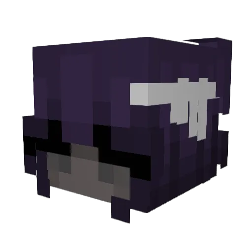 RayxXxRay Minecraft avatar head, 3D render