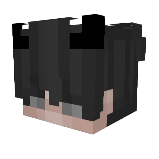 Rayz1111 Minecraft avatar head, 3D render