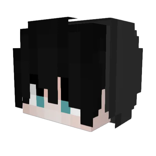 Rayzinh0_ Minecraft avatar head, 3D render