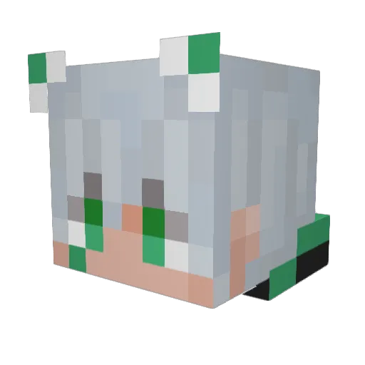 Rayzyro Minecraft avatar head, 3D render