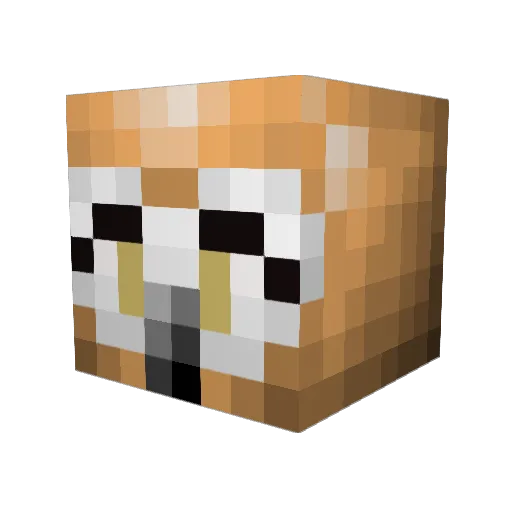 Raz24 Minecraft avatar head, 3D render