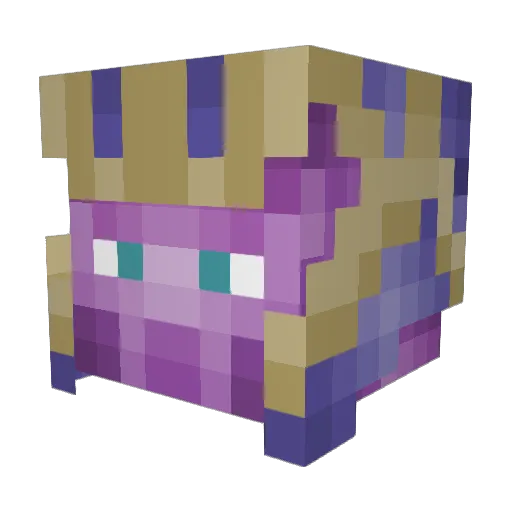 Raz_69 Minecraft avatar head, 3D render