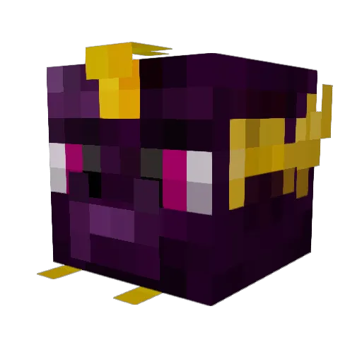 Razeen46 Minecraft avatar head, 3D render