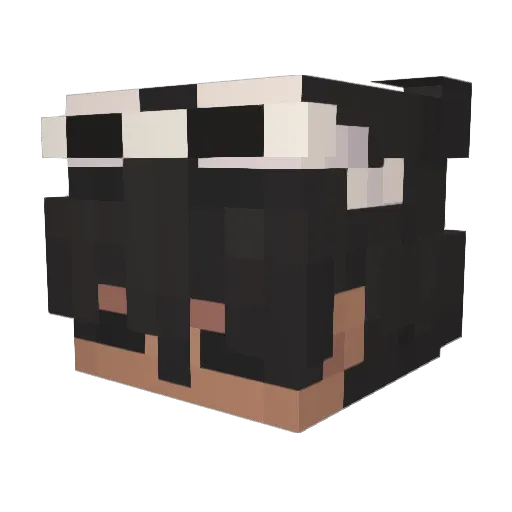 RazeiDrea Minecraft avatar head, 3D render