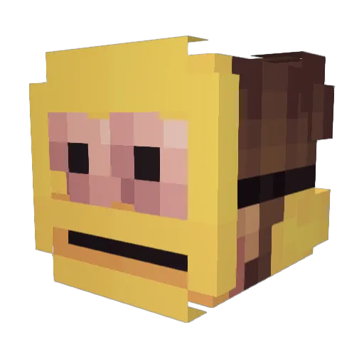 RazendeRakker Minecraft avatar head, 3D render