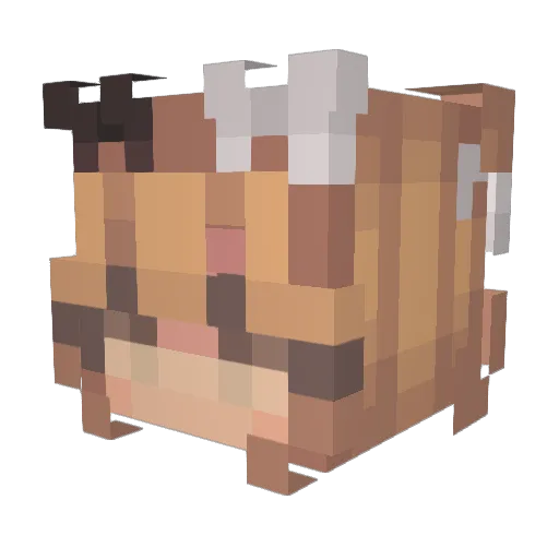 Razer_Xr Minecraft avatar head, 3D render