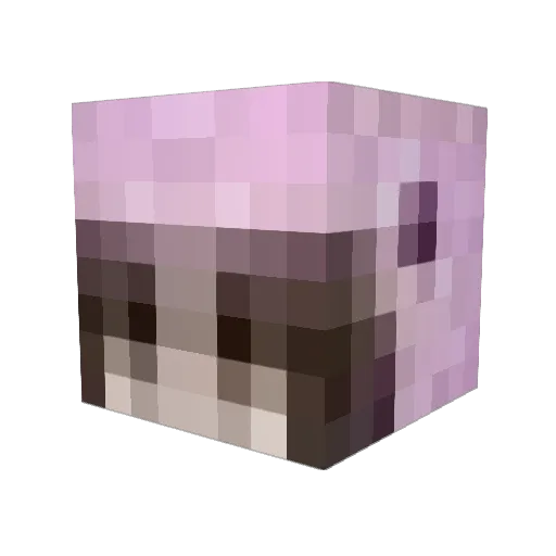 Razerlix52 Minecraft avatar head, 3D render