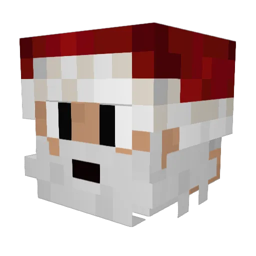 Razersh0t Minecraft avatar head, 3D render