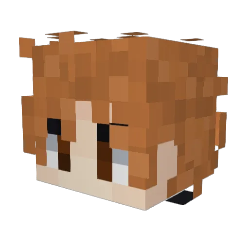 Razeway Minecraft avatar head, 3D render
