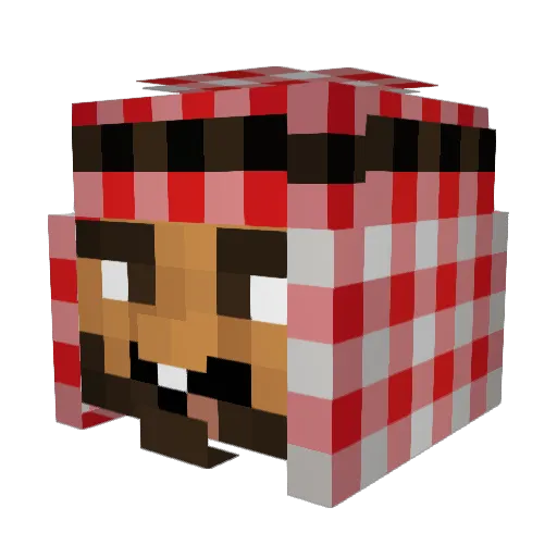 Razezilla Minecraft avatar head, 3D render