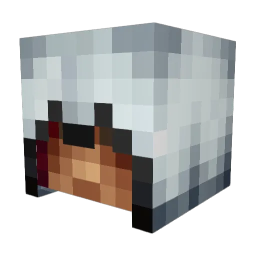 Razium Minecraft avatar head, 3D render