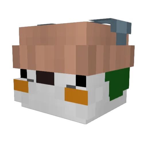 Razo1239 Minecraft avatar head, 3D render