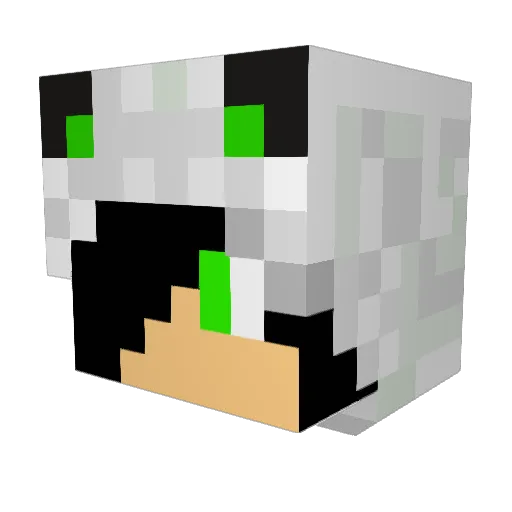 RazorBlad3 Minecraft avatar head, 3D render