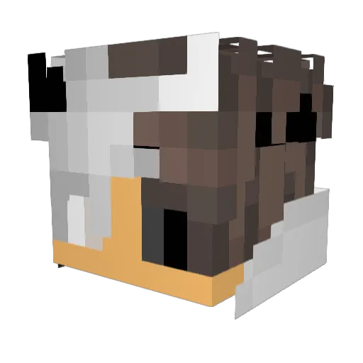 RazorClaw474 Minecraft avatar head, 3D render