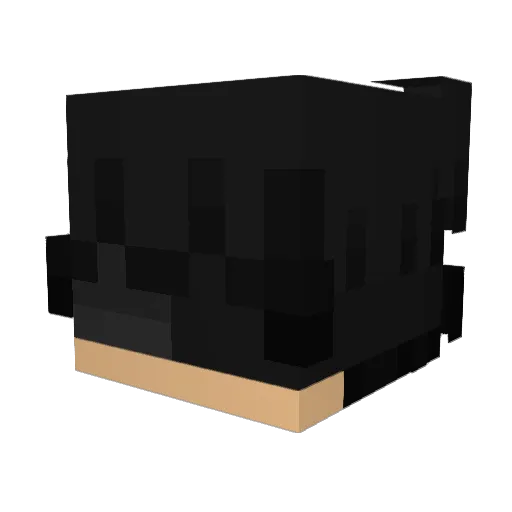 Razorgamer3107 Minecraft avatar head, 3D render