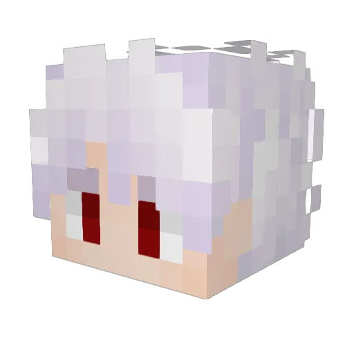 Razub0ll91 Minecraft avatar head, 3D render