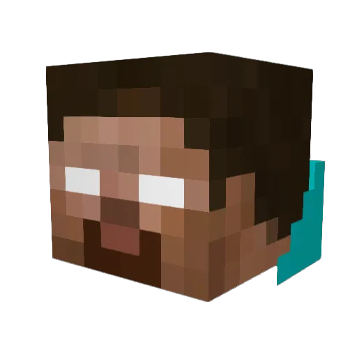 Razvan9999 Minecraft avatar head, 3D render
