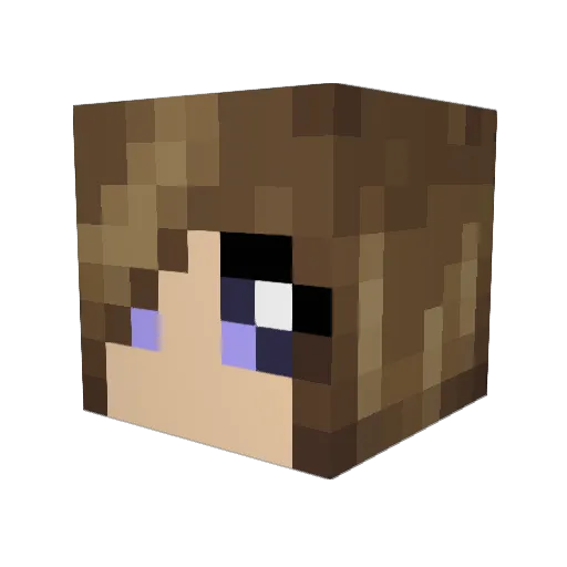 Razza848 Minecraft avatar head, 3D render