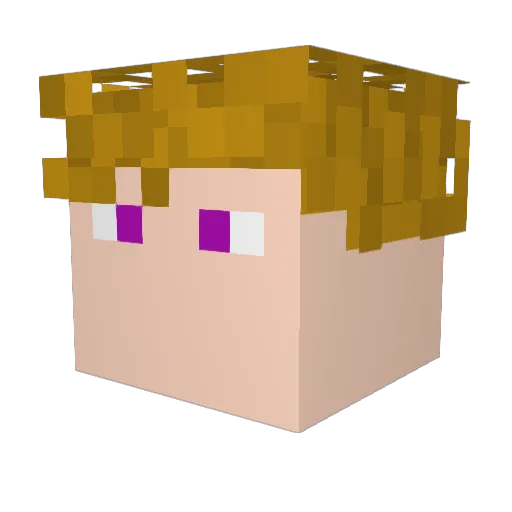 Razzerag Minecraft avatar head, 3D render