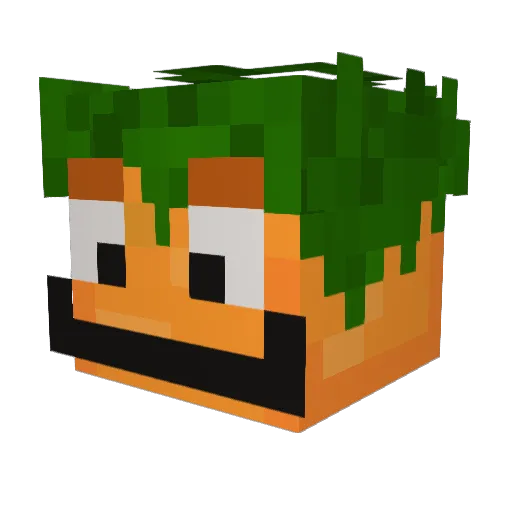 Razzie03 Minecraft avatar head, 3D render