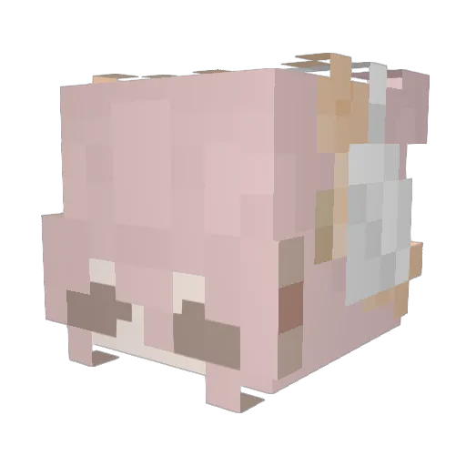 Rbcs9669 Minecraft avatar head, 3D render