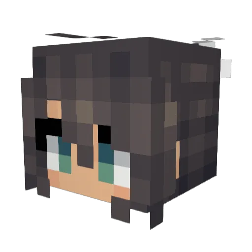 Rbwarrior10 Minecraft avatar head, 3D render