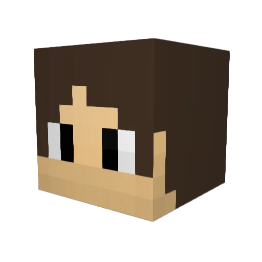 Rc2F6 Minecraft avatar head, 3D render