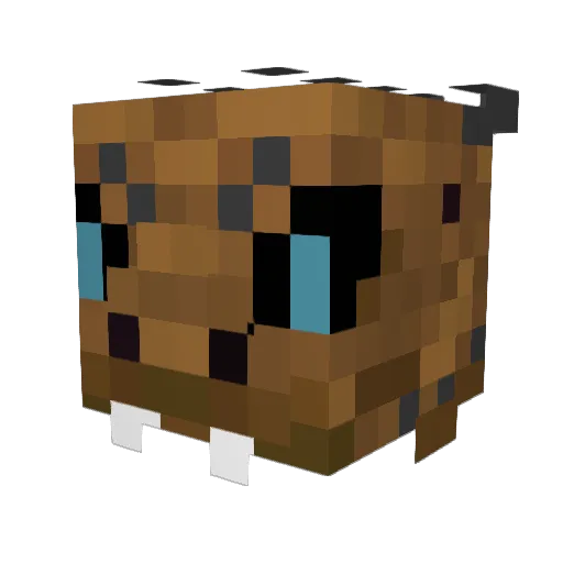 Rcat1235 Minecraft avatar head, 3D render