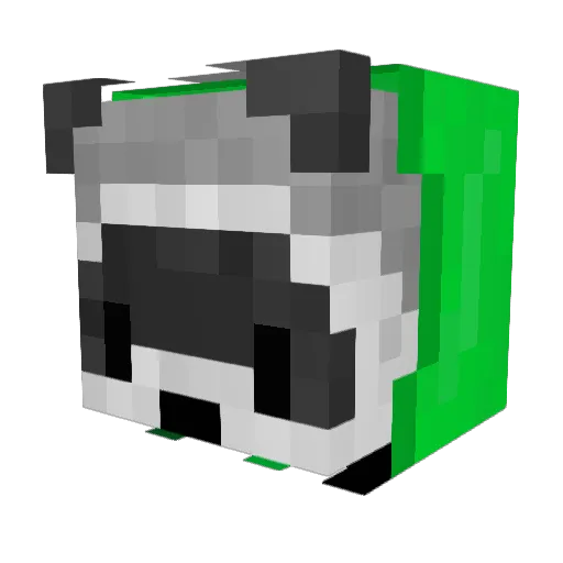 RccnMeat Minecraft avatar head, 3D render