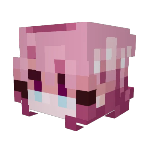 Rclus Minecraft avatar head, 3D render