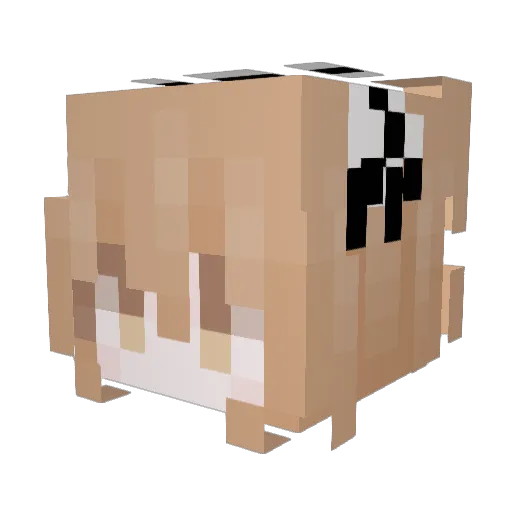 RcmEnjoyer Minecraft avatar head, 3D render