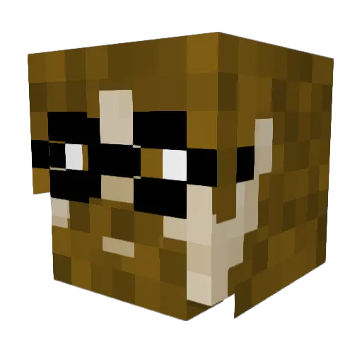 Rcs493 Minecraft avatar head, 3D render