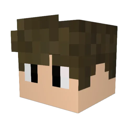 Rcunha_1234 Minecraft avatar head, 3D render