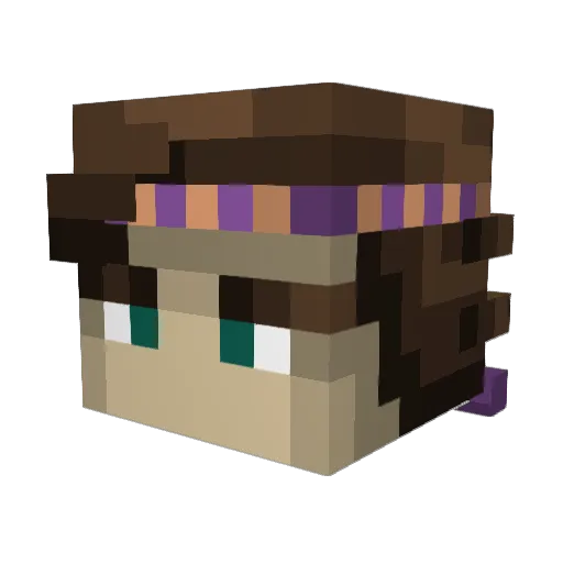 Rdiggity Minecraft avatar head, 3D render